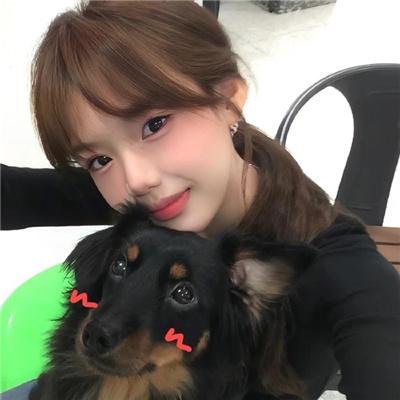 内战圣伯纳犬